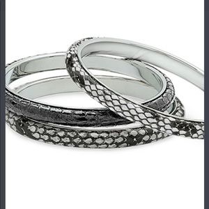 Ready set Chic Premier Design